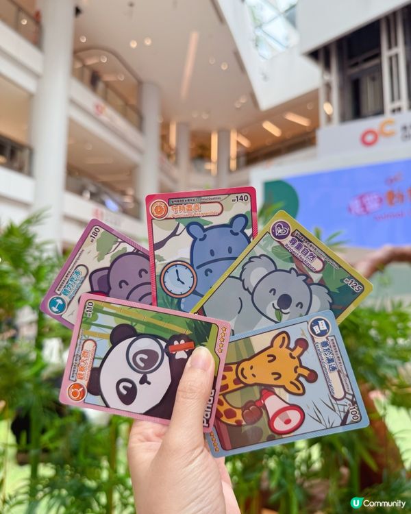 小小動物護理員開工啦！🦒🐼 暑假必去！