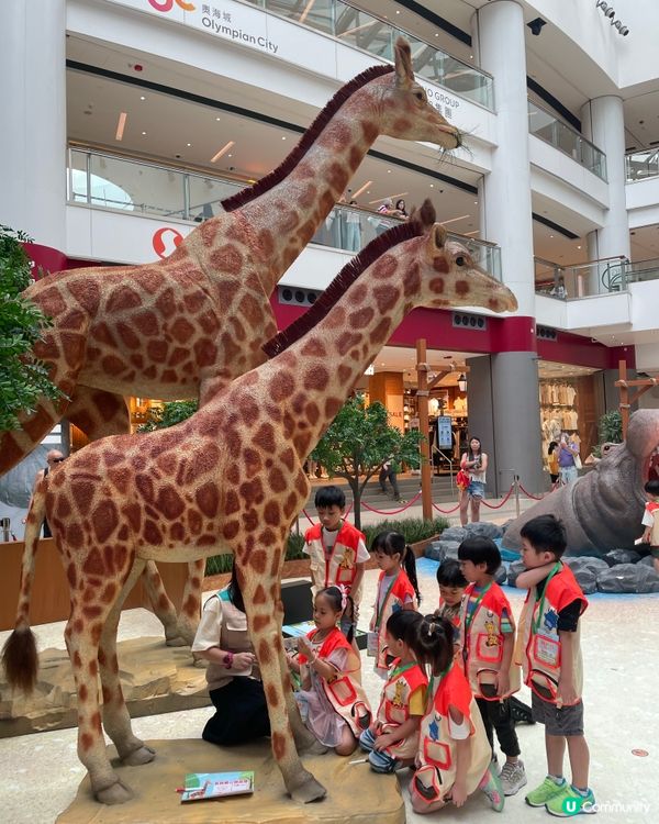 去奧海城做一日見習動物護理員