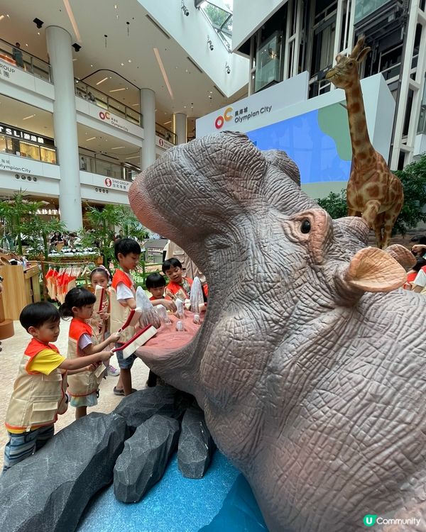 去奧海城做一日見習動物護理員