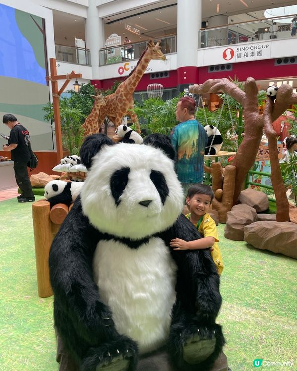 去奧海城做一日見習動物護理員