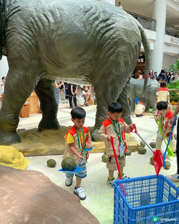 去奧海城做一日見習動物護理員