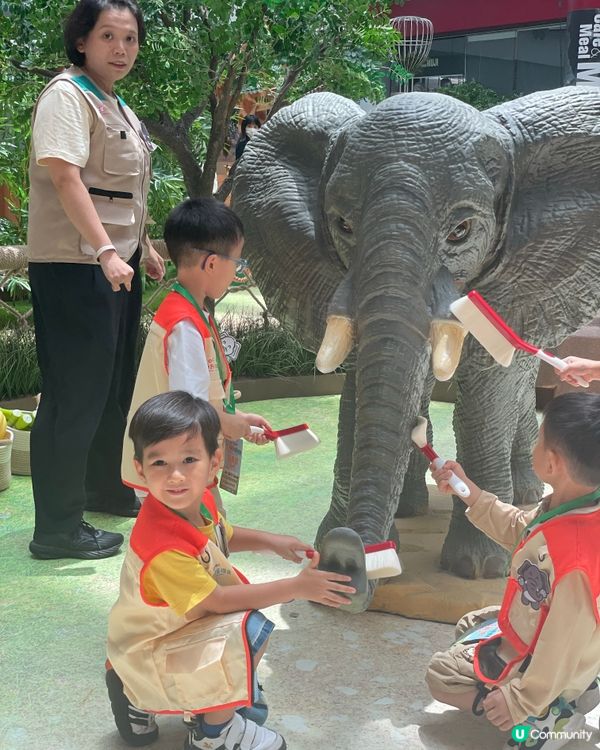 去奧海城做一日見習動物護理員