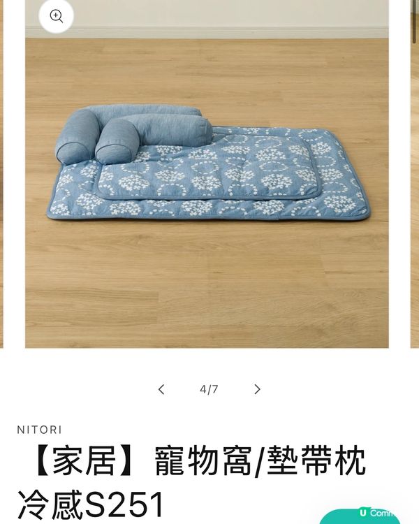 1.  熱到爆！貓貓都頂唔順🥵🧊 涼感墊真係掂！