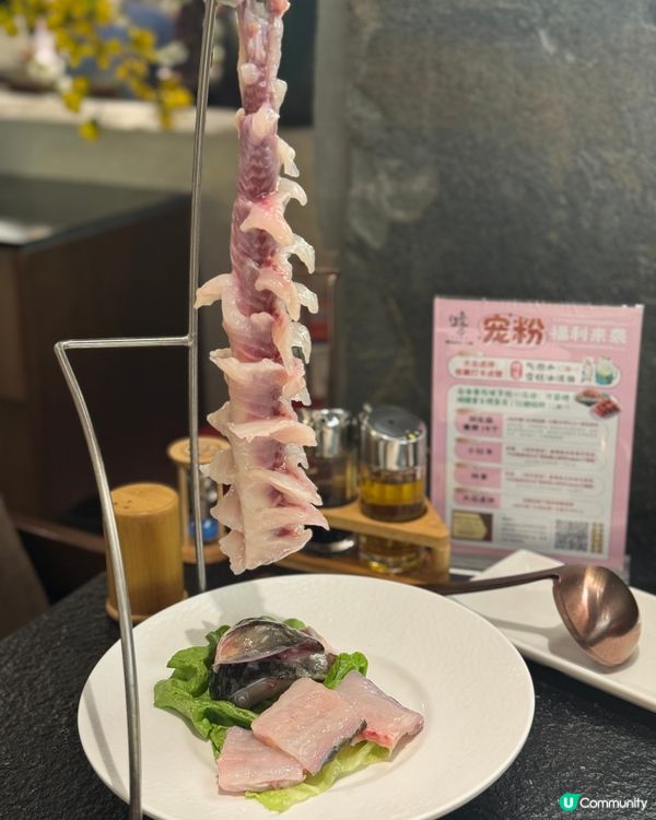 【深圳魚生🤤！零寄生蟲，安全又好味！】