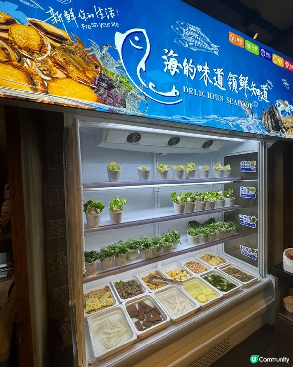 【東門領鮮自助餐🤤！活海鮮+烤榴槤任食😋】