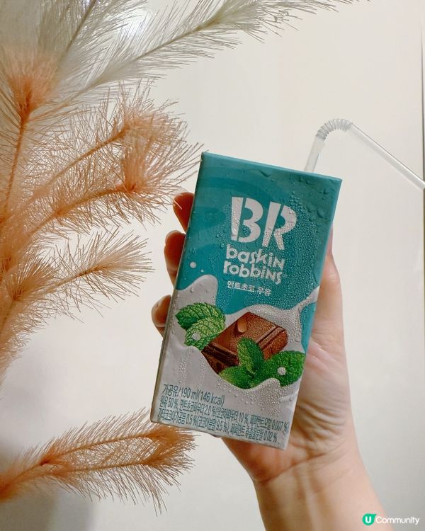 回憶殺！薄荷朱古力返嚟啦🤤 韓國牛奶必試！