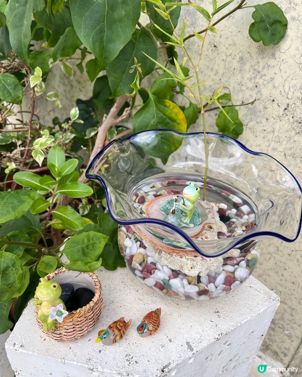 1.  那霸玩樂攻略！🏯 必去首里城+國際通🛍️🌊part2