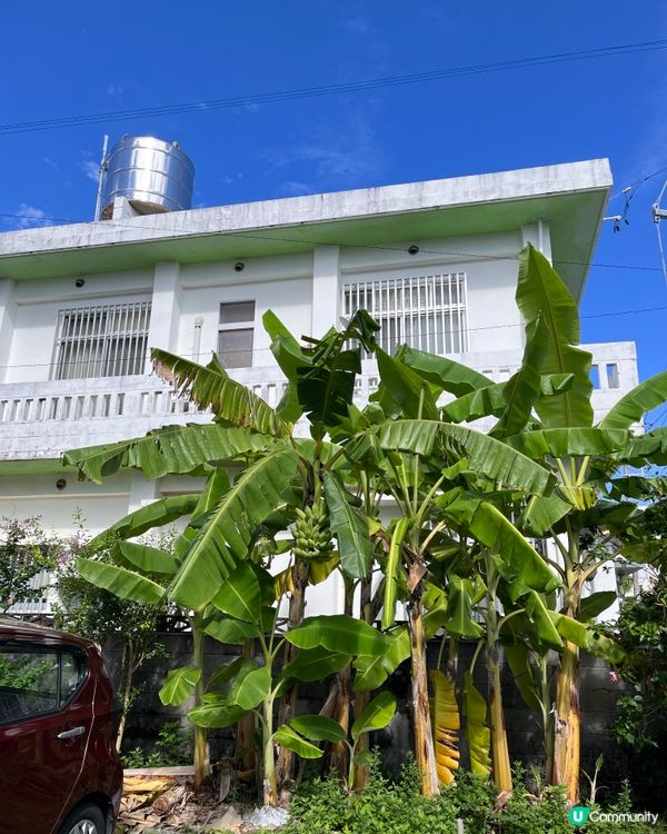 1.  那霸玩樂攻略！🏯 必去首里城+國際通🛍️🌊part2