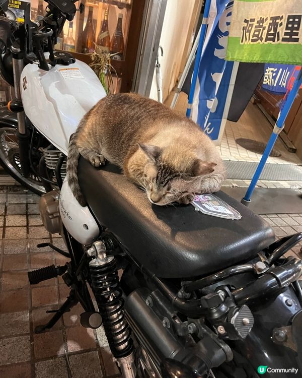 1.  那霸玩樂攻略！🏯 必去首里城+國際通🛍️🌊part2