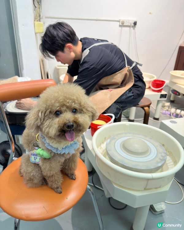 第一次帶埋愛犬玩陶藝！超好玩🤩 暑假必去！🔥