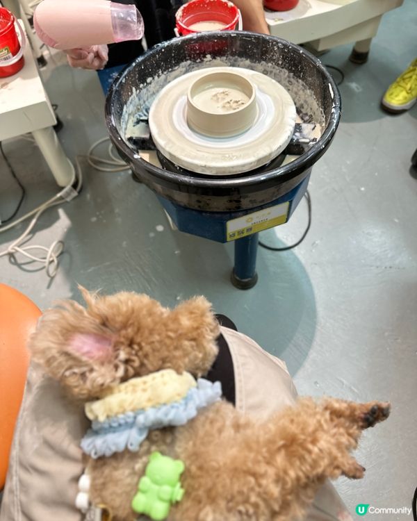 第一次帶埋愛犬玩陶藝！超好玩🤩 暑假必去！🔥