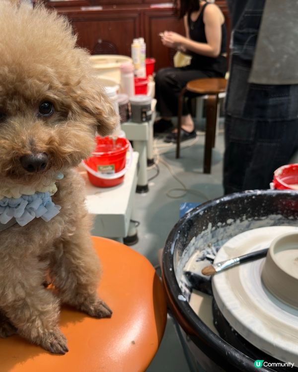 第一次帶埋愛犬玩陶藝！超好玩🤩 暑假必去！🔥