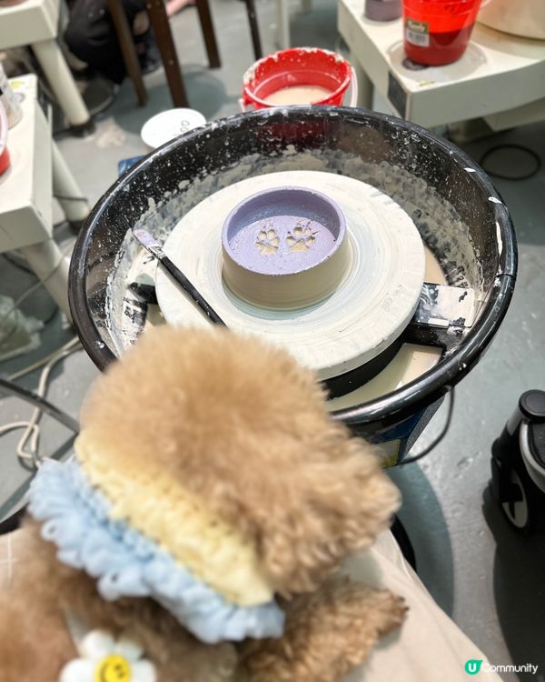 第一次帶埋愛犬玩陶藝！超好玩🤩 暑假必去！🔥