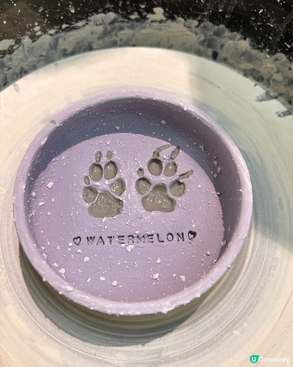 第一次帶埋愛犬玩陶藝！超好玩🤩 暑假必去！🔥