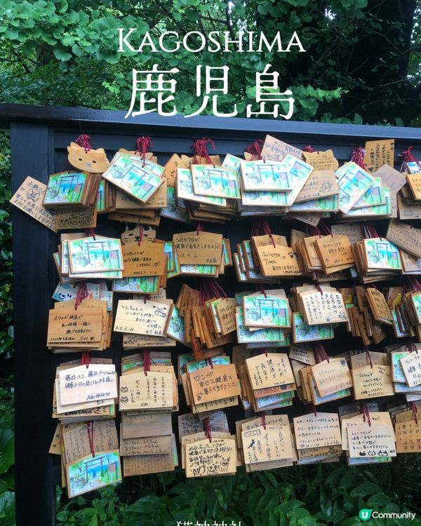 環遊日本🇯🇵｜南九州三日兩夜行程建議路線🐈