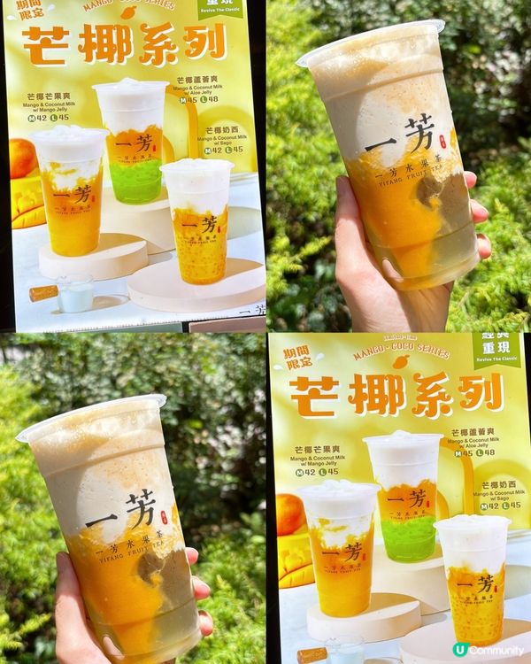 🎏發現‼️芒椰系列重現🔥