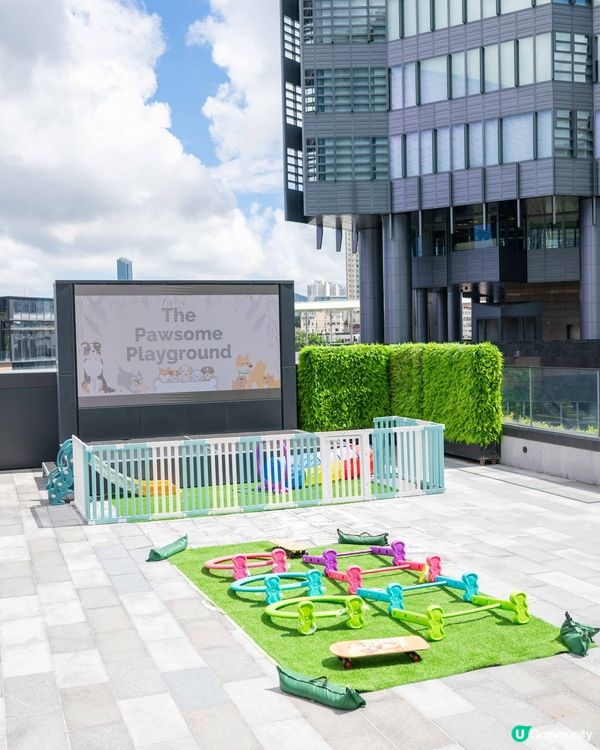 啟德Dorsett酒店四川西班牙菜😋🇪🇸🍽️