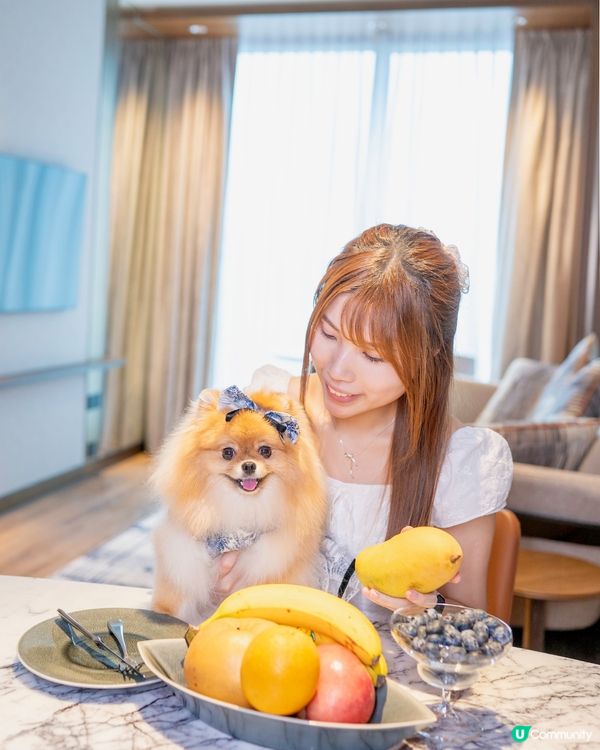 啟德Dorsett酒店四川西班牙菜😋🇪🇸🍽️