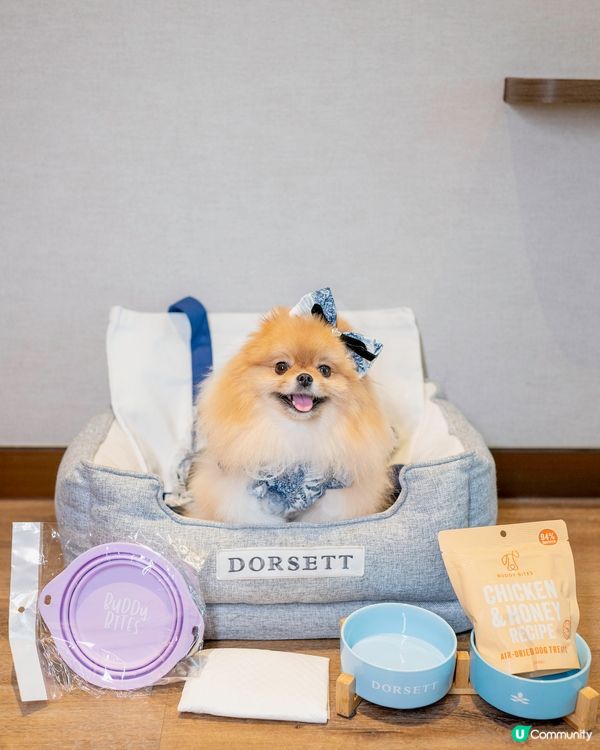 啟德Dorsett酒店四川西班牙菜😋🇪🇸🍽️