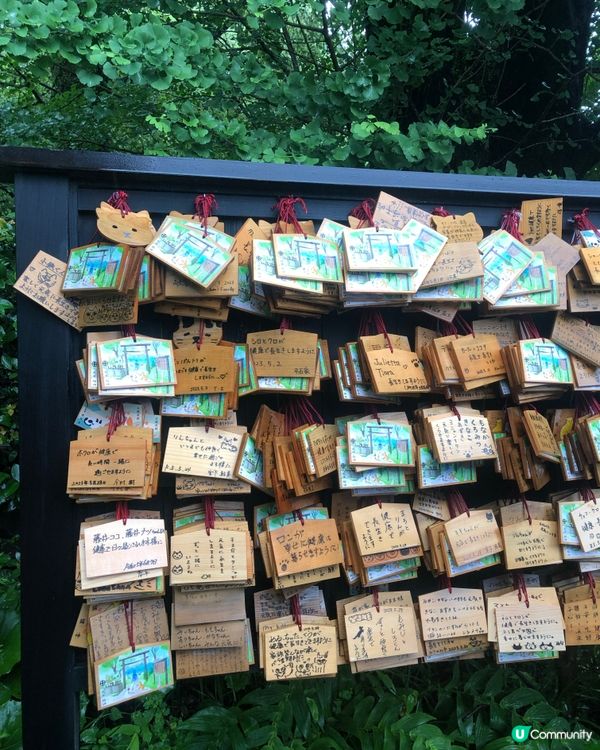 環遊日本🇯🇵｜南九州三日兩夜行程建議路線🐈