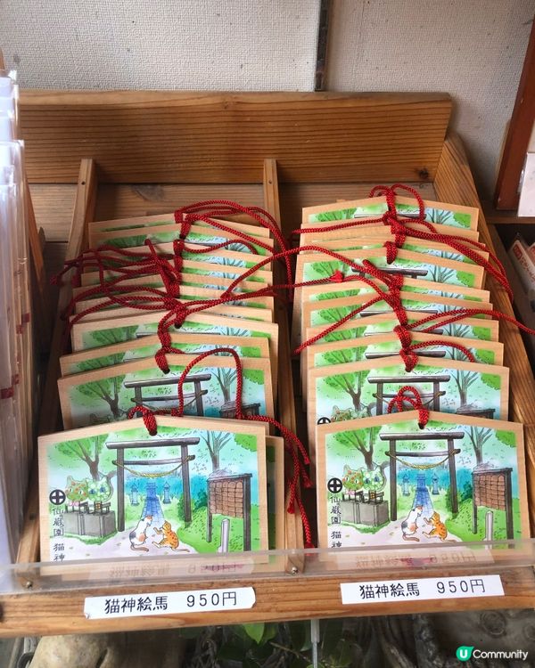 環遊日本🇯🇵｜南九州三日兩夜行程建議路線🐈