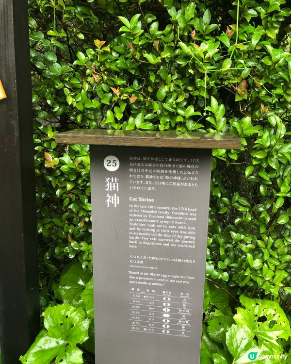 環遊日本🇯🇵｜南九州三日兩夜行程建議路線🐈