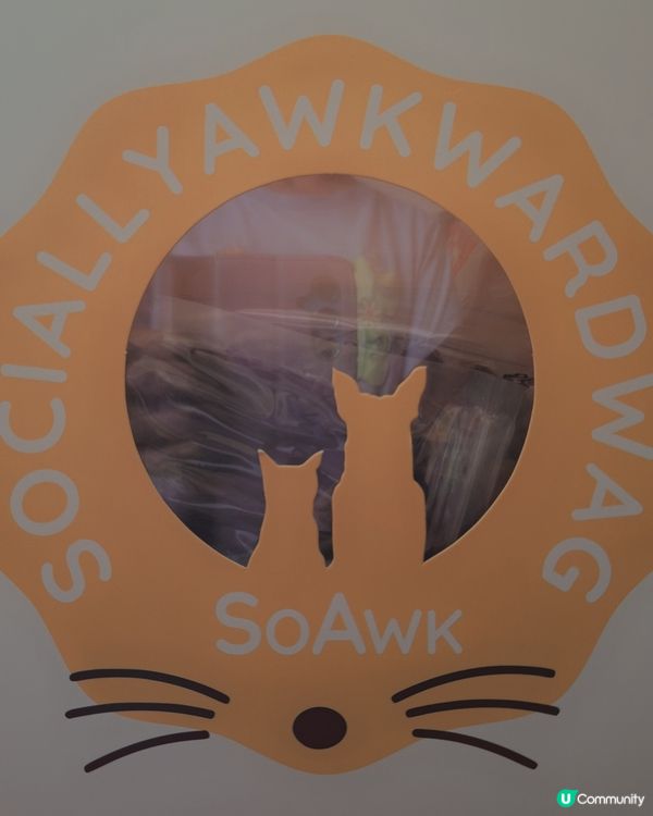 🎁 寵物零食推介！🐾