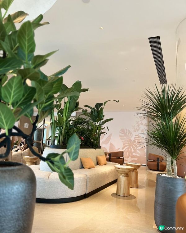 Brew33空中花園吧｜2025新開｜深圳灣希爾頓逸林酒店