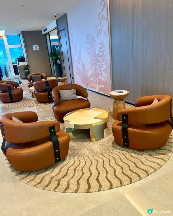 Brew33空中花園吧｜2025新開｜深圳灣希爾頓逸林酒店