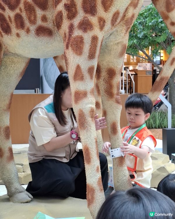 小朋友暑假打工之「見習動物護理員」