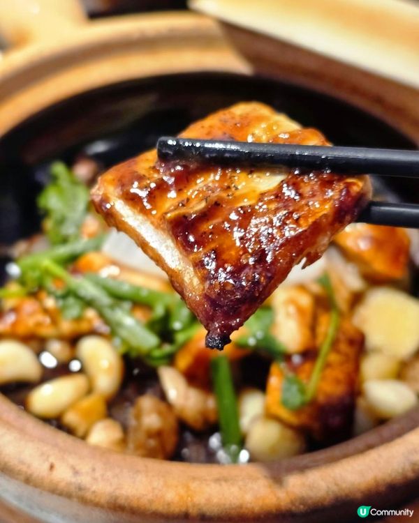 📍深圳必吃！魚頭湯鮮到骨子裡🐟千島湖胖頭魚專門店！