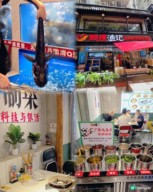 📍深圳必吃！魚頭湯鮮到骨子裡🐟千島湖胖頭魚專門店！