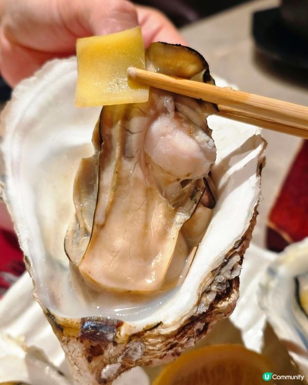 📍深圳必吃！ 吃蠔寶藏店🦪蠔蠔先生