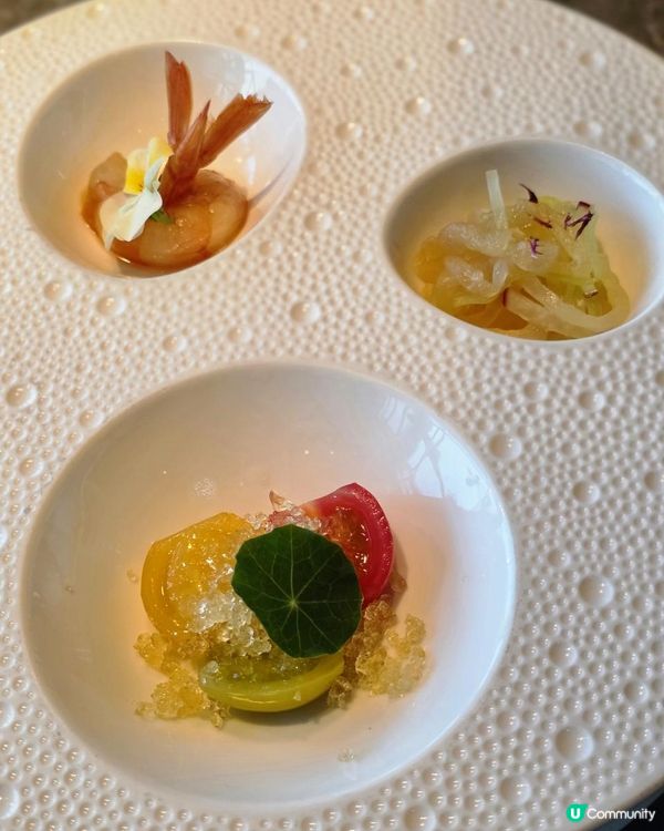 ✨IFC高檔粵菜新貴｜唐述世味人生嚐味之🍴