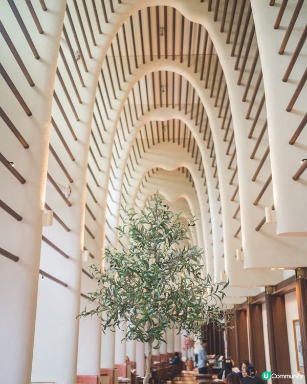 餐廳環境勁靚,打卡必去之選,食物水準高