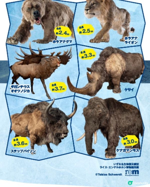 🧊那些年的冰河世紀🧐走進當年的世界