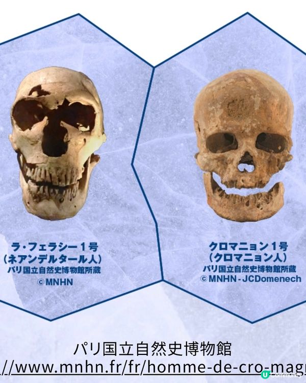 🧊那些年的冰河世紀🧐走進當年的世界