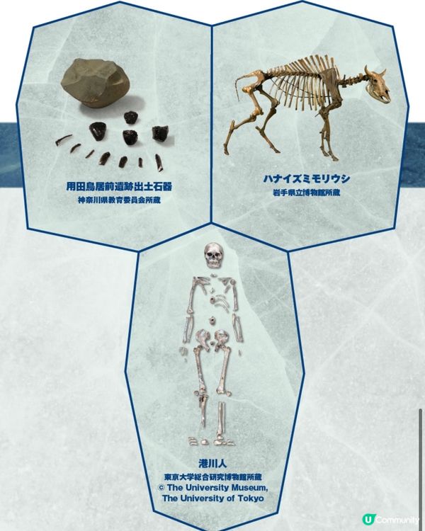 🧊那些年的冰河世紀🧐走進當年的世界