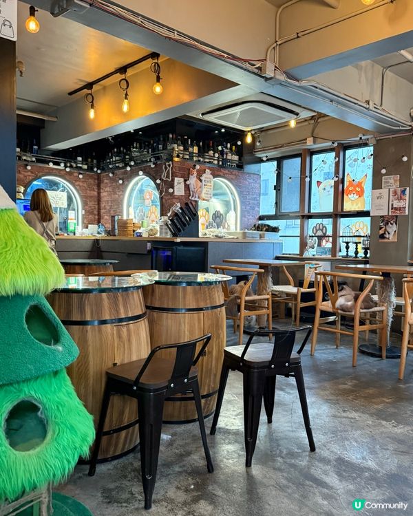 ｢貓貓cafe🤤野食都okay!!｣