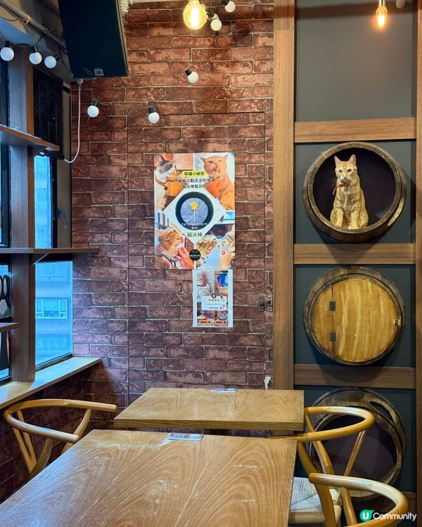 ｢貓貓cafe🤤野食都okay!!｣