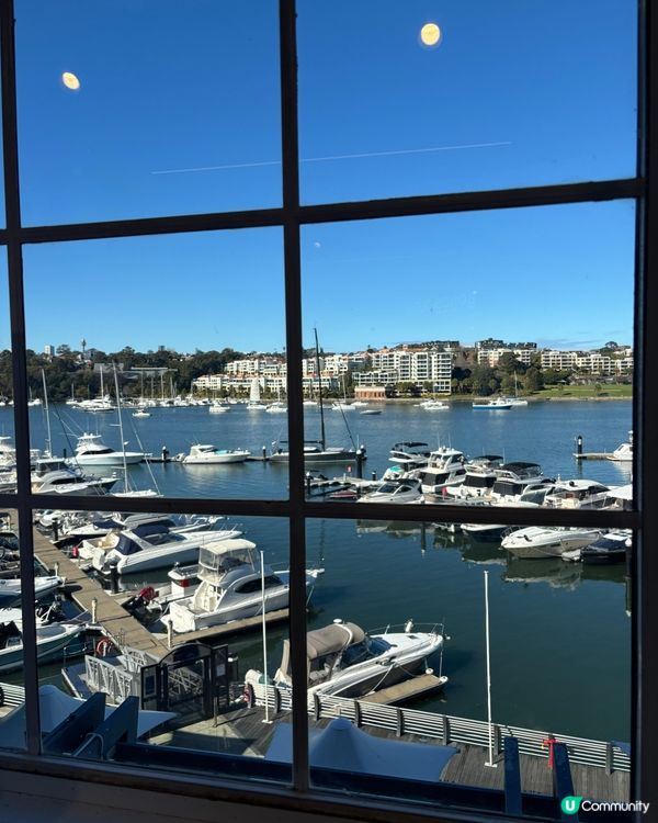 澳洲陽光曬到爆！☀️ 掃貨必備！🛍️