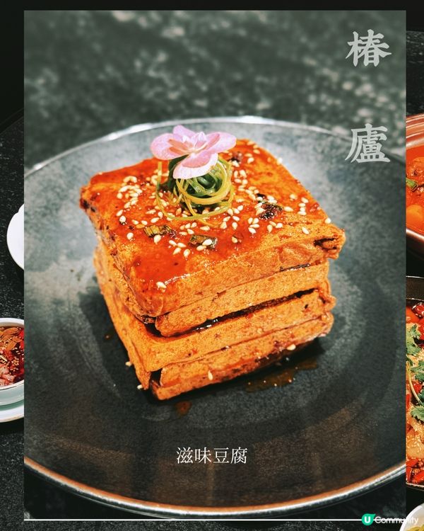 🇨🇳| 深圳-椿廬