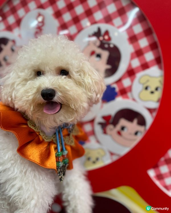 今個暑假巧多靚靚打卡熱點📍