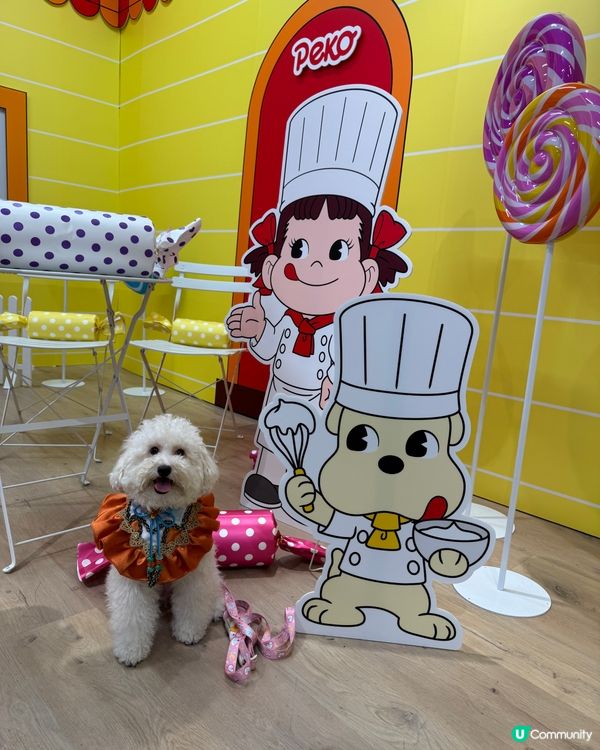 今個暑假巧多靚靚打卡熱點📍