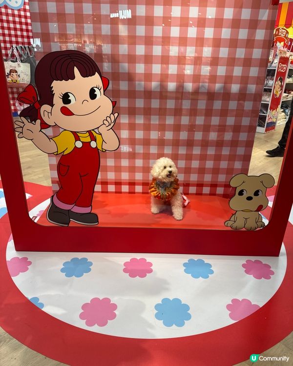 今個暑假巧多靚靚打卡熱點📍