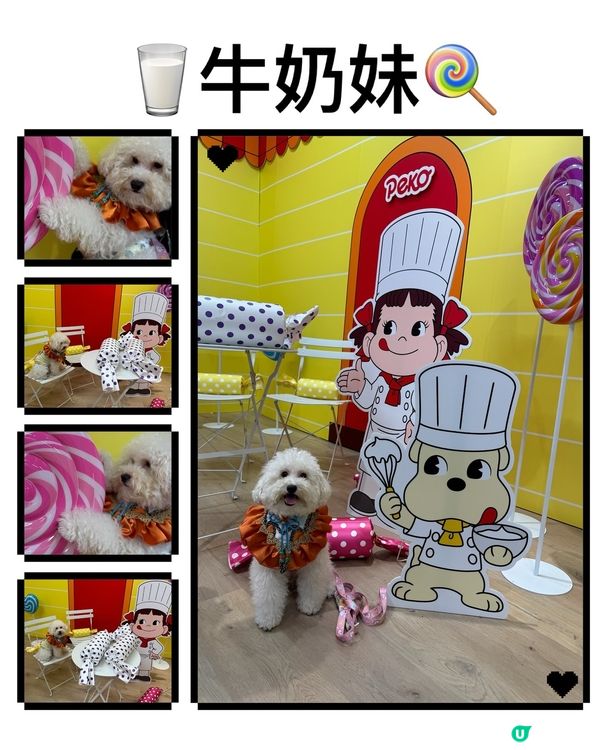 今個暑假巧多靚靚打卡熱點📍