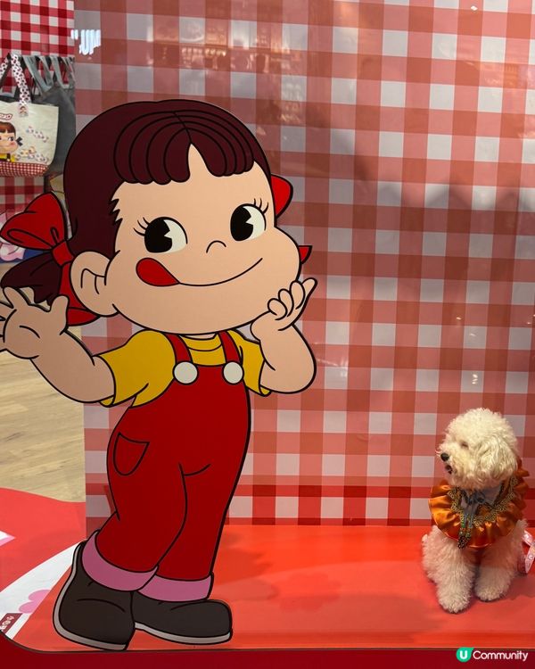 今個暑假巧多靚靚打卡熱點📍