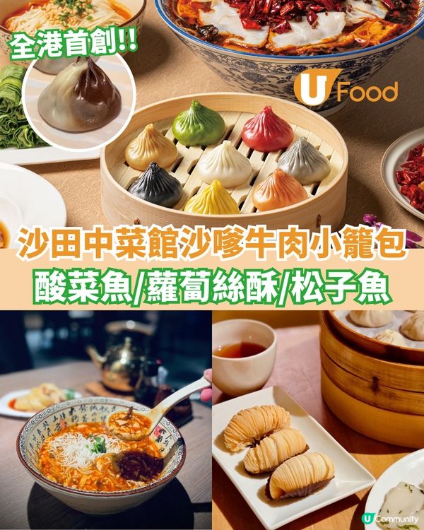 沙田中菜館首創沙嗲牛肉小籠包 酸菜魚/蘿蔔絲酥/松子魚