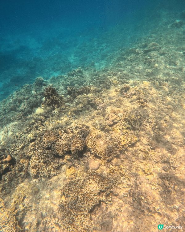 #chill賞同陽光玩遊戲