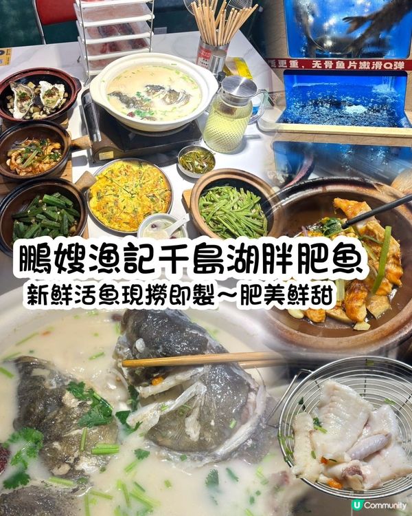 鵬嫂漁記！一魚多食胖頭魚鍋🤤！
